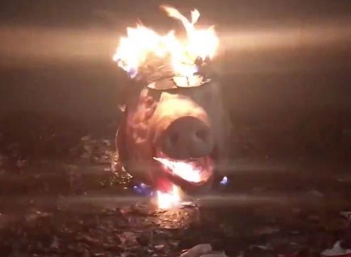 Antifa demonstrators placed a decapitated pig's head on an American flag outside the Portland Justice Center before putting a police hat on it and setting the whole thing on fire.